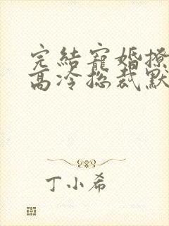 完结宠婚撩人:高冷总裁默默爱 小说