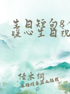 生日短句8个字暖心生日祝福语