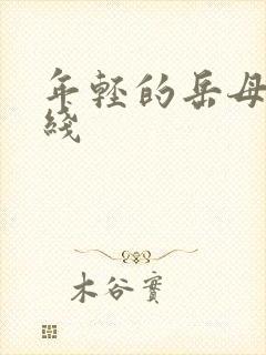 年轻的岳母2在线