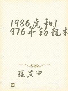 1986虎和1976年的龙相配吗