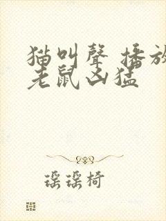 猫叫声 播放吓老鼠凶猛