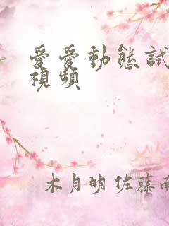 爱爱动态试看小视频