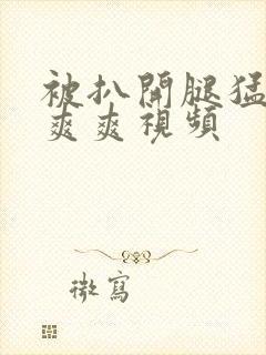 被扒开腿猛进入爽爽视频