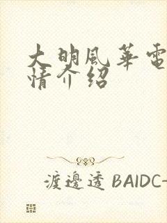 大明风华电视剧情介绍