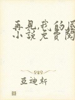 再见,我的国王小说免费阅读