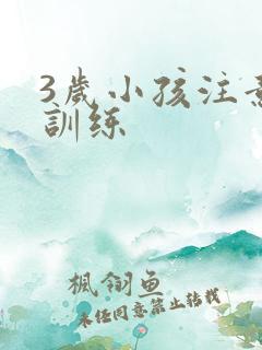 3岁小孩注意力训练