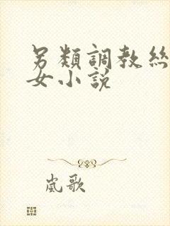 另类调教丝袜美女小说