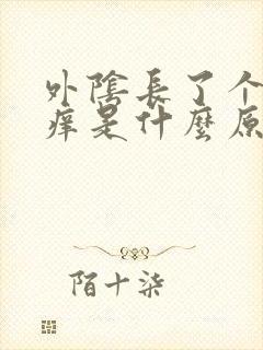 外阴长了个水泡痒是什么原因