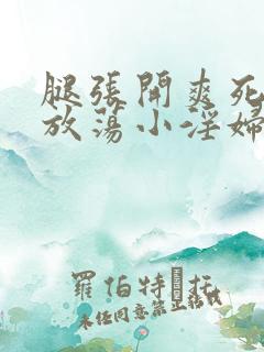 腿张开爽死你个放荡小淫妇h