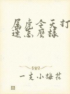 属虎今天打牌财运怎么样