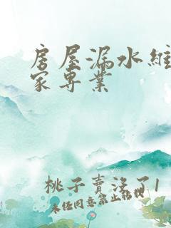 房屋漏水维修哪家专业