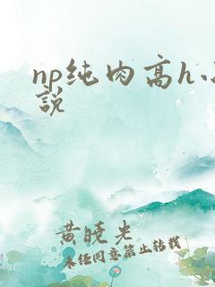 np纯肉高h小说