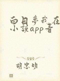 白日梦我在哪个小说app看