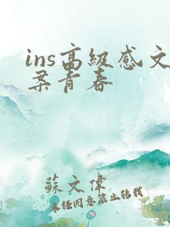 ins高级感文案青春