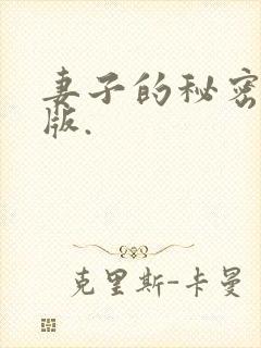 妻子的秘密完整版.