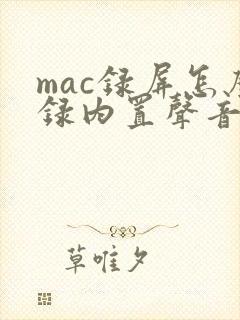 mac录屏怎么录内置声音