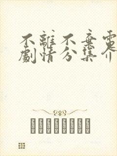 不离不弃电视剧剧情分集介绍