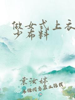 做女式上衣用多少布料