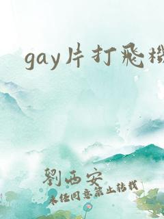 gay片打飞机