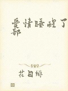 爱情睡醒了第二部