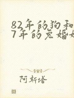 82年的狗和87年的兔婚姻怎么样