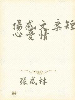 伤感文案短句扎心爱情