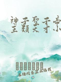 神子圣子帝子少主类天才小说