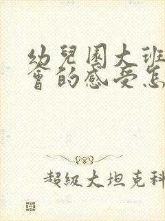 幼儿园大班家长会的感受怎么写