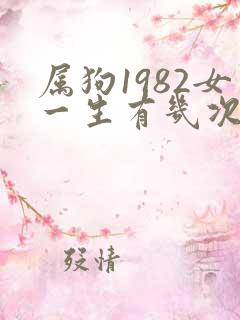 属狗1982女一生有几次婚姻