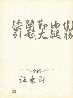 膝关节内侧疼痛引起大腿筋疼