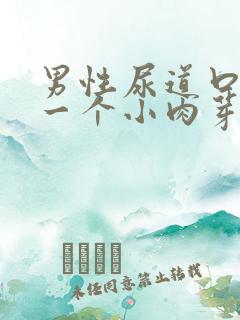 男性尿道口长了一个小肉芽出血