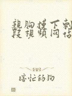 亲胸摸下刺激片段视频网站