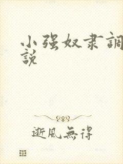 小强奴隶调教小说