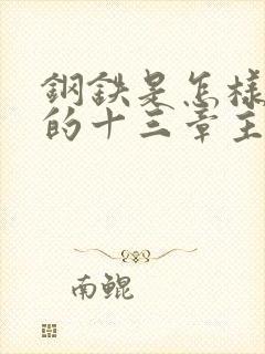 钢铁是怎样炼成的十三章主要内容