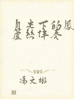 月光下的凤尾葫芦丝伴奏