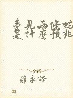 梦见两条蛇追我是什么预兆