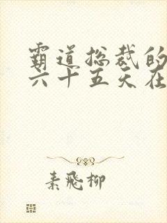 霸道总裁的三百六十五天在线观看