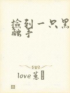 捡到一只黑心小触手