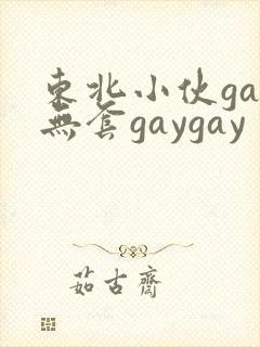 东北小伙gay无套gaygay