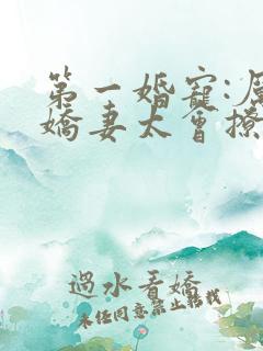 第一婚宠:厉爷娇妻太会撩