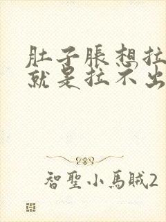 肚子胀想拉大便就是拉不出来怎么办