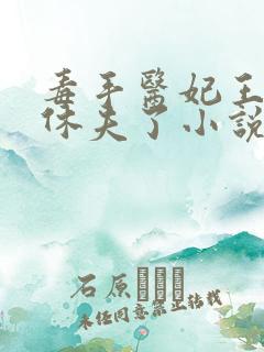 毒手医妃王爷被休夫了小说免费阅读