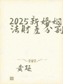 2025新婚姻法财产分割