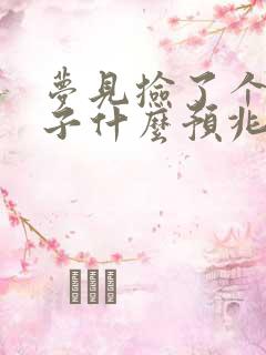 梦见捡了个男孩子什么预兆