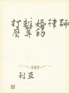 打离婚律师费怎么算的