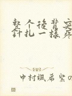 整个后背突然像针扎一样疼