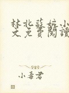 林北苏婉小说全文免费阅读最新章节