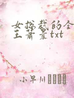 女总裁的全能兵王萧晨txt