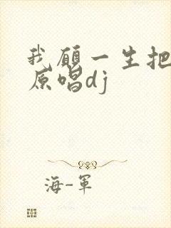 我愿一生把你陪原唱dj