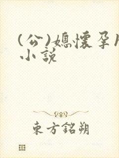 (公)媳怀孕h小说